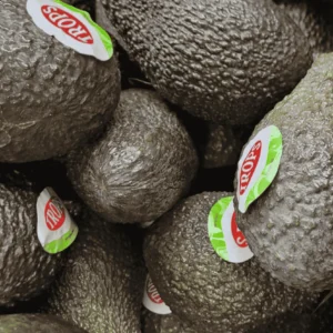 Avocat TROPS
