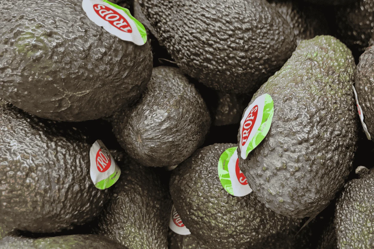 Avocat TROPS