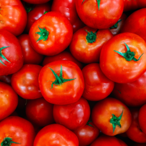 Tomate ronde