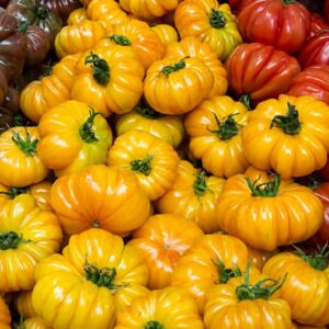 Tomate cœur de bœuf