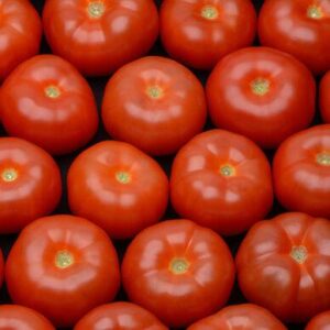 Tomate ronde
