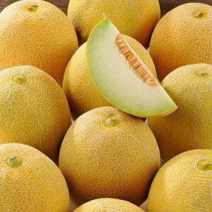 Melon galia