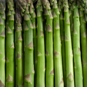 Asperge verte