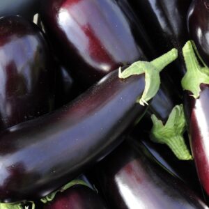 Aubergine