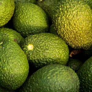 Avocat