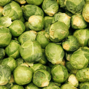 Chou de Bruxelles
