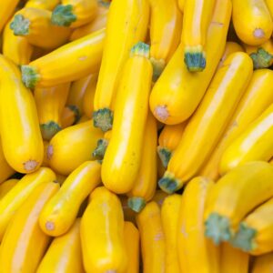Courge
