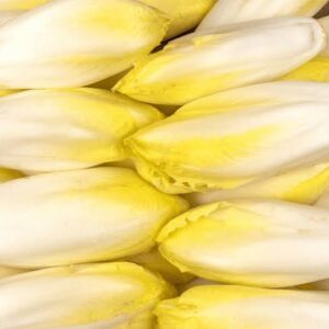 Endive