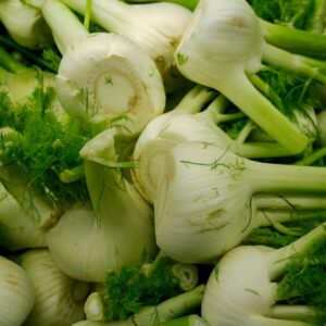 Fenouil