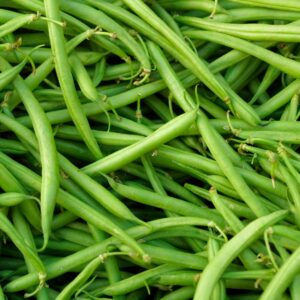 Haricot vert