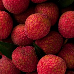 Litchi