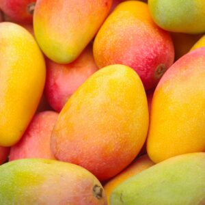mangue