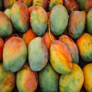 Mangue avion premium