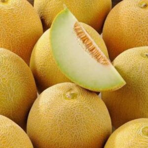 Melon jaune