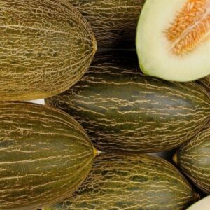 Melon vert