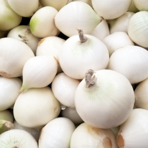 Oignon blanc