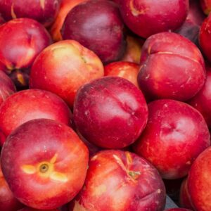 Nectarine