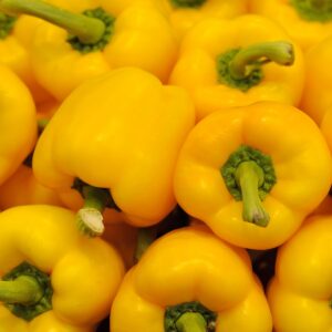 Poivron jaune