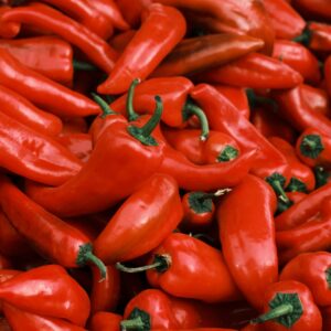 poivron-rouge