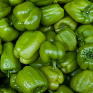 Poivron vert
