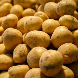 Pomme de terre