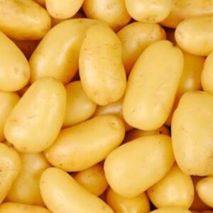 pomme-de-terre-delicatesse