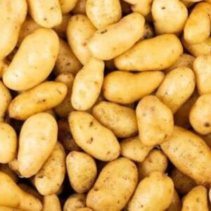 Pomme de terre Ratte