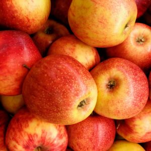 Pomme Gala