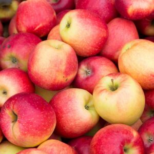 pomme-pink-lady