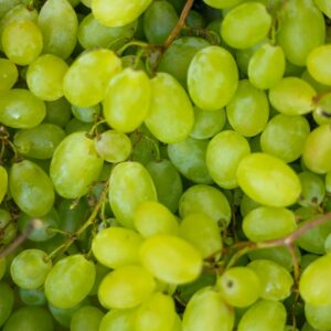 Raisin blanc