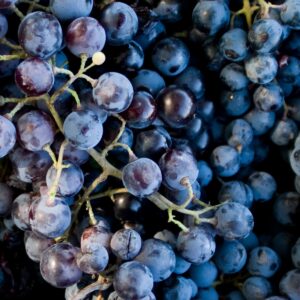 Raisin noir