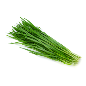 Ciboulette